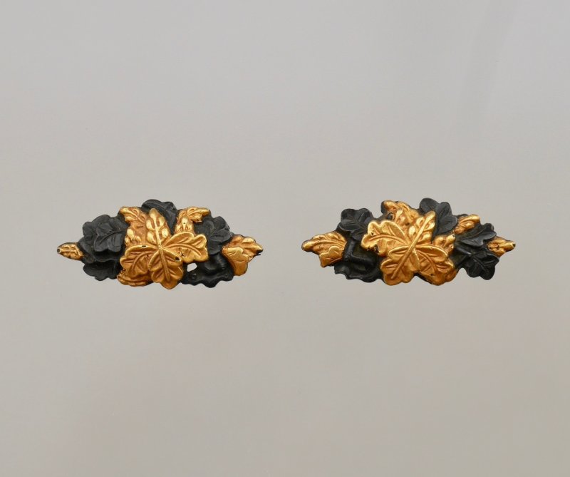 Design of Paulownia