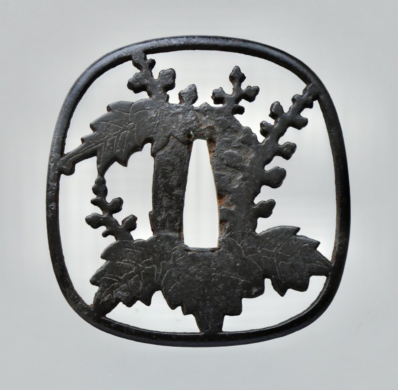 Design of Paulownia