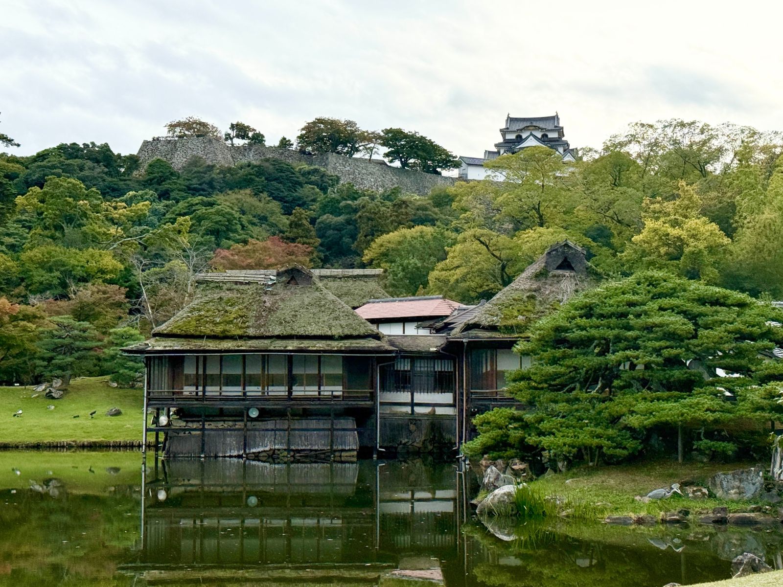Visiting Hikone Castle|A Journey into the Aesthetics of Samurai Culture
