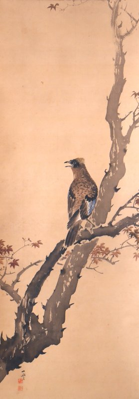 紅葉橿鳥図